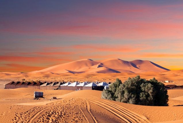 Trip from Marrakech