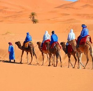 Circuits pour étudiants, Viaggio Avventura 4x4 Merzouga, Esplorazione del deserto sud Marocco