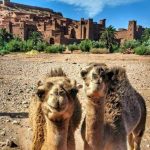 AIT BENHADDOU CASBAH UNESCO site in Morocco
