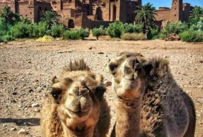 AIT BENHADDOU CASBAH UNESCO site in Morocco