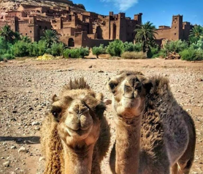 AIT BENHADDOU CASBAH UNESCO site in Morocco