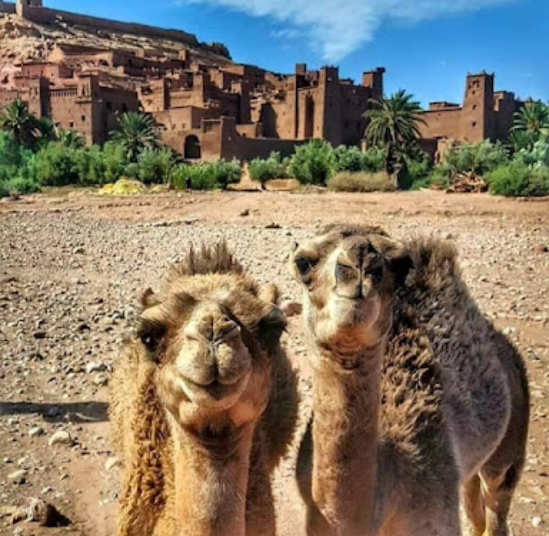 AIT BENHADDOU CASBAH UNESCO site in Morocco