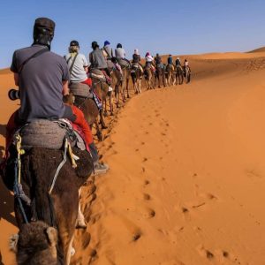 Tour culturale, imperial cities from Casablanca