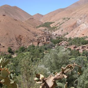 Excursión 1 dia a Essaouira
