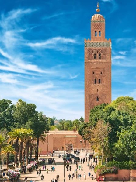 article_210_1017_1625228139